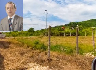 Primaria i-a dat doua terenuri lui Gheorghe Badea pentru a-si dezvolta afacerile