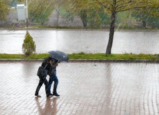 179 Citate Dragoste Citate impresionante