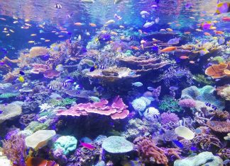 233 Citate Despre Viata Si Sentimente – Motto-uri scurte si frumoase