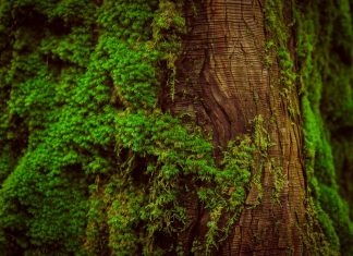 255 Citate Intelepte – Maxime, Citate, Cugetari