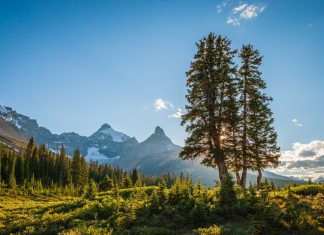 255 Mesaje De Buna Dimineata Noi