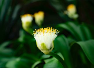 305 Citate Scurte scurte pentru un inceput de saptamana optimist