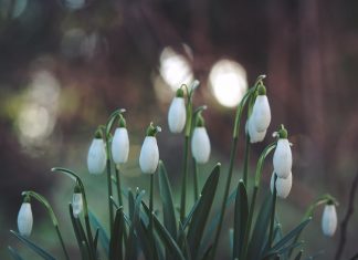 74 Mesaje De 1 Martie