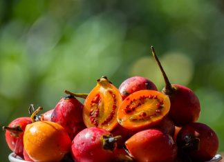 6 beneficii ale rosiilor de copac