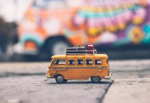 Ce sunt software-urile GDS si pentru ce sunt acestea?