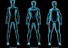 Corpul endomorf: chei pentru antrenamentul si dieta ta