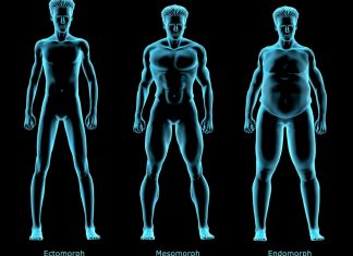 Corpul endomorf: chei pentru antrenamentul si dieta ta