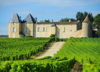 Cunoasteti cele mai faimoase castele si podgorii din Bordeaux