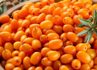 Cum putem îmbunătăți imunitatea? Siropul de cătina, un aliat de nădejde în proces